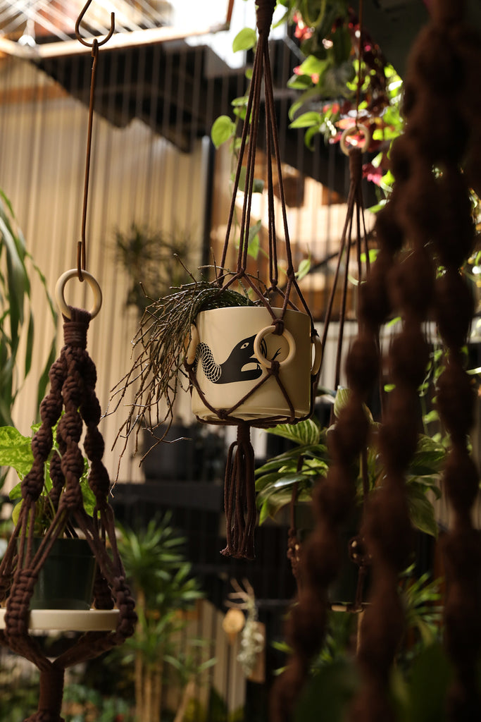 Plant Hanger w/ Wood Rings