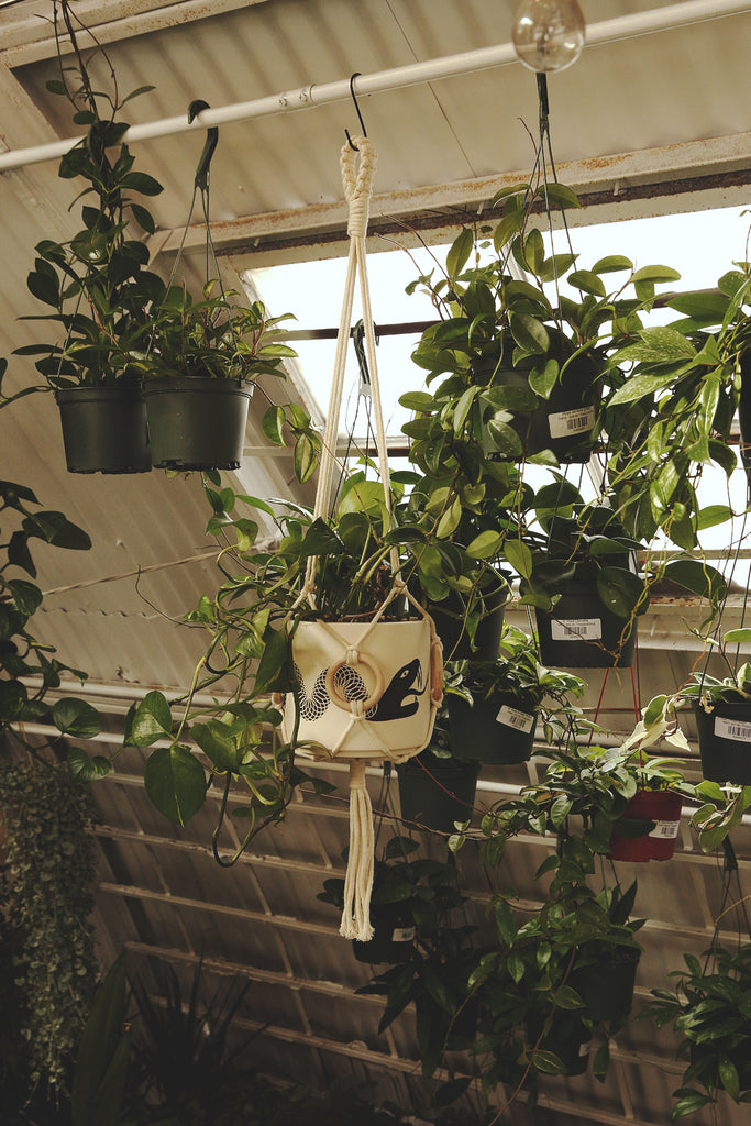 Plant Hanger