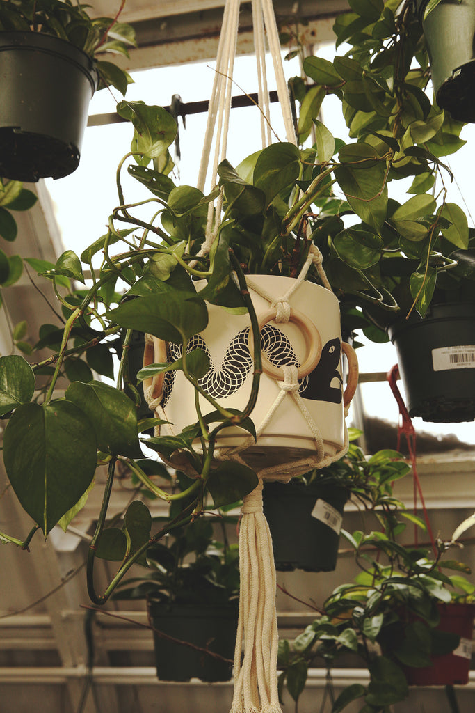 Plant Hanger
