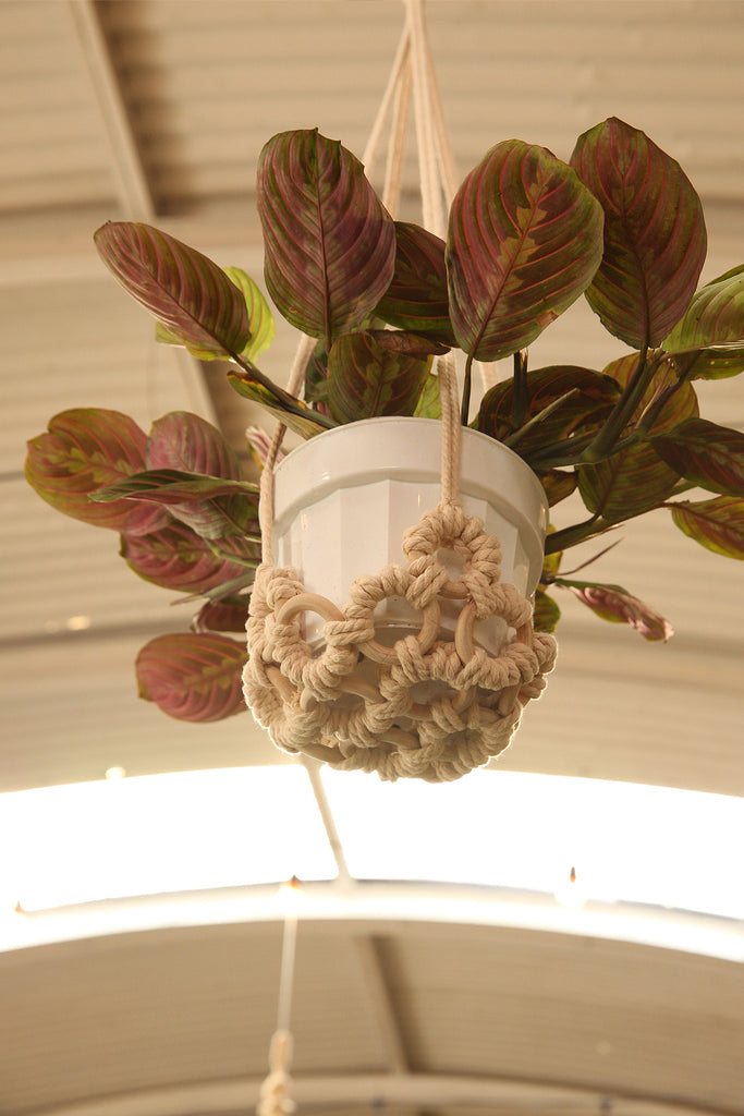 Plant Hanger