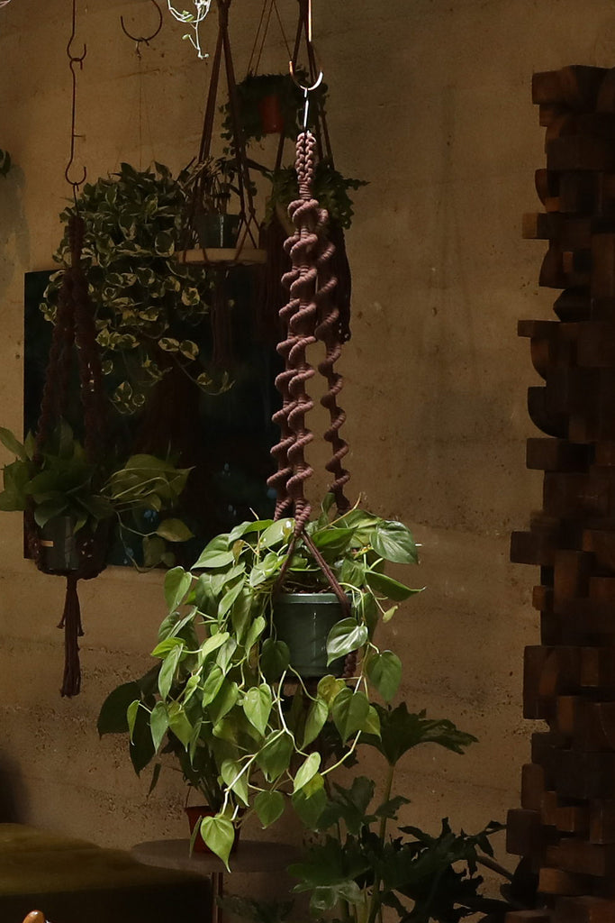 Plant Hanger