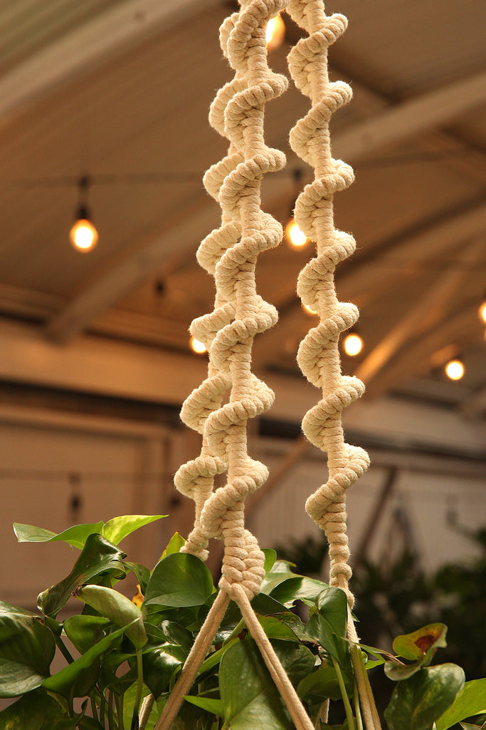 Plant Hanger