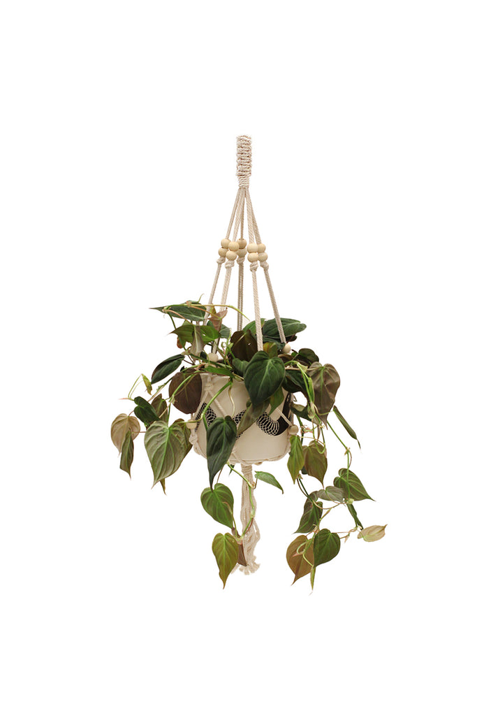 Beaded Plant Hanger