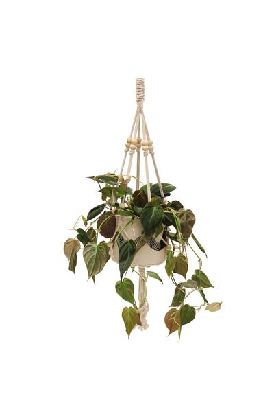 Beaded Plant Hanger