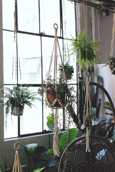 Beaded Plant Hanger