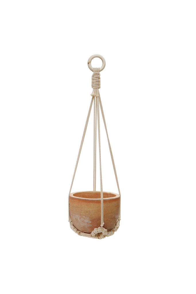 Plant Hanger