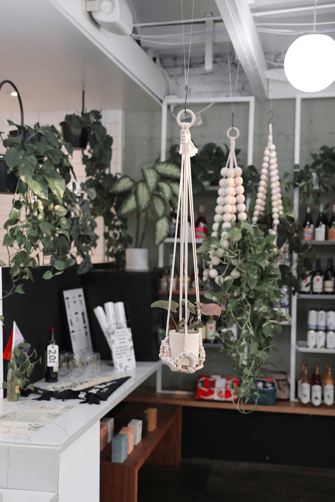 Plant Hanger