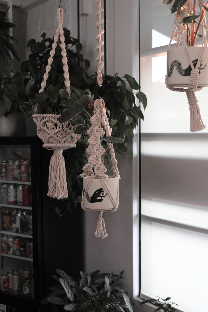 Plant Hanger