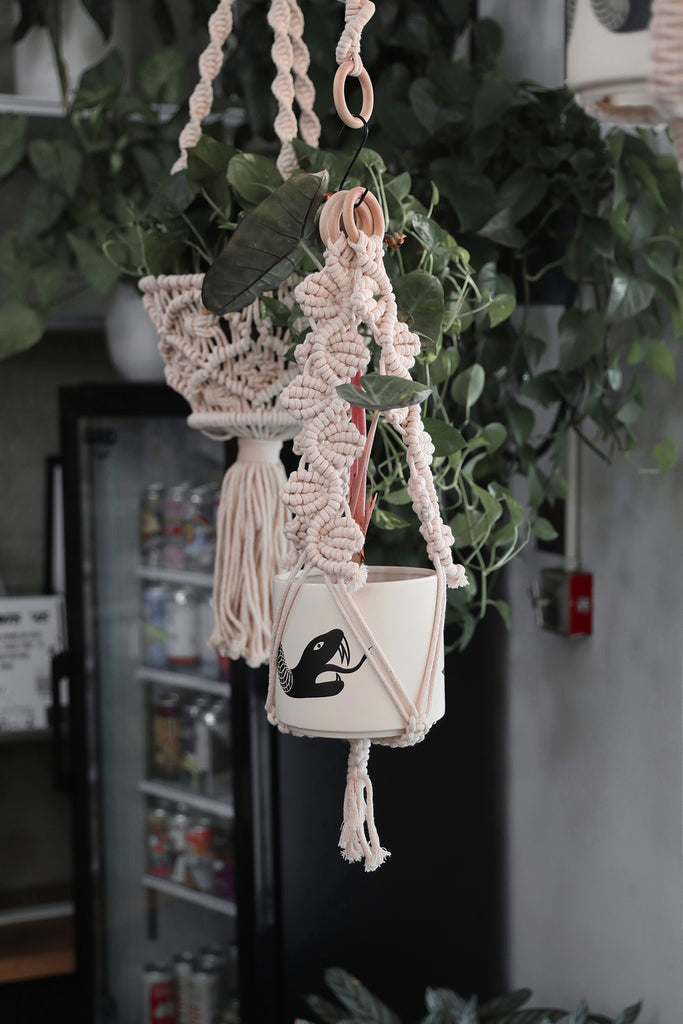Plant Hanger