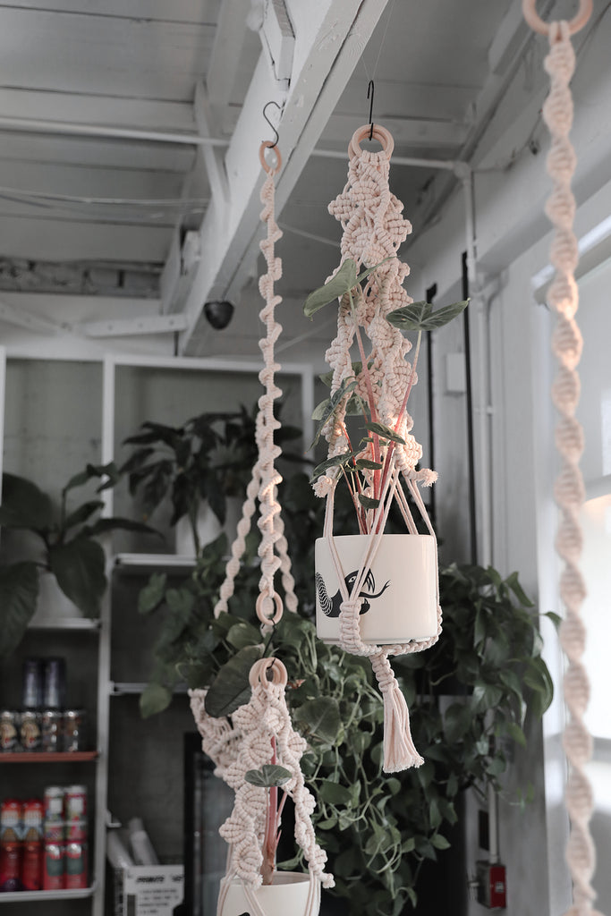 Plant Hanger