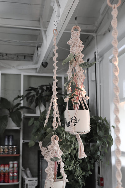 Plant Hanger