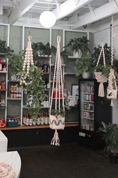 Plant Hanger