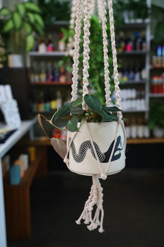 Plant Hanger