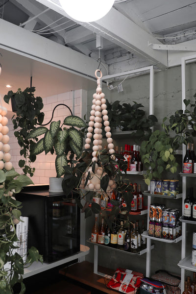 Beaded Plant Hanger