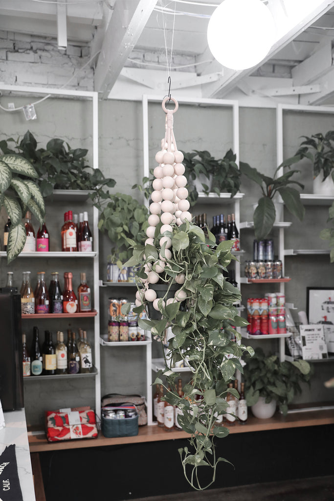 Beaded Plant Hanger