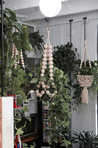 Beaded Plant Hanger
