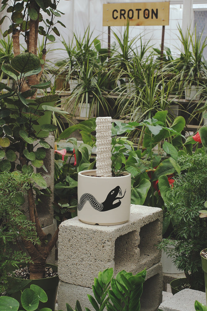 Original Plant Pole