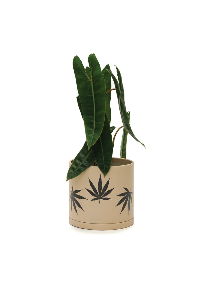 Leaf Plant Pot