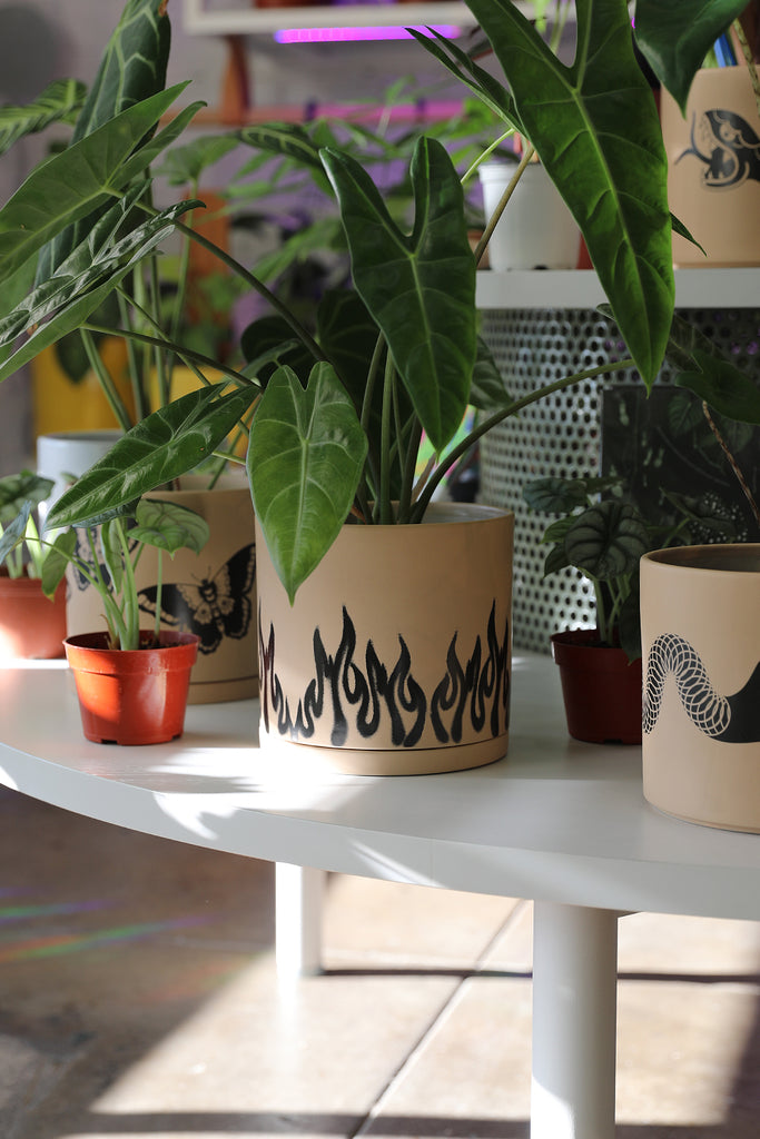 Flame Plant Pot