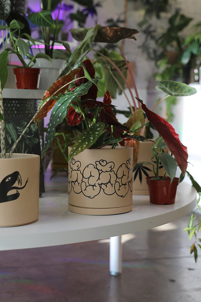Om Plant Pot