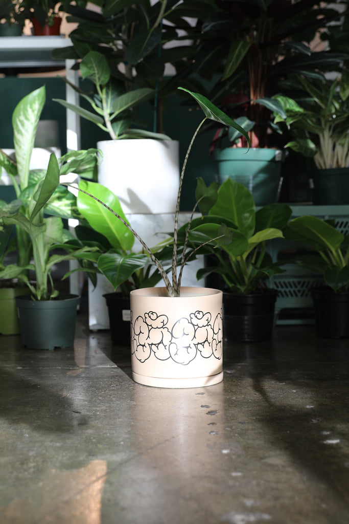 Om Plant Pot