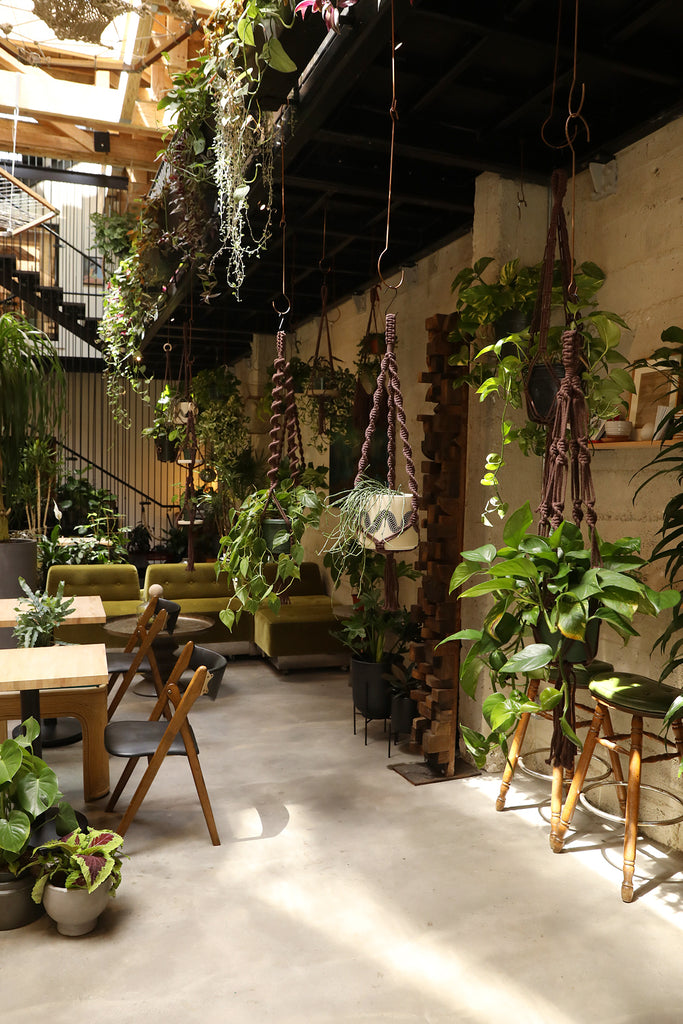 Plant Hanger